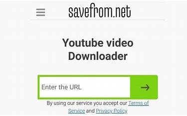 savefrom.net